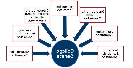College Senate Standing Committees include Academic Standards Committee, Curriculum Committee, Developmental Education Committee, Instruction Committee, Intercollegiate and Intramural Athletics Committee, Learning Assessment Committee and Student Life Committee.